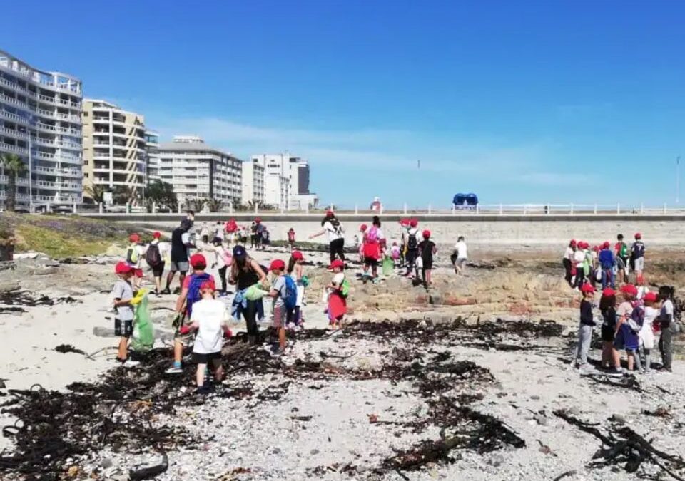 Cape Town French School: 5 campaigns, including environmental awareness and well-being