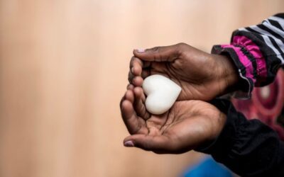 The Transformative Power of Nonprofit Organisations in South Africa