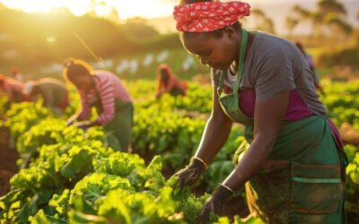 What is the Social Economy, and Why Should You Care?
